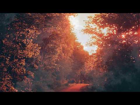 PUIU CHIBICI - CAND NICI NU EXISTAM