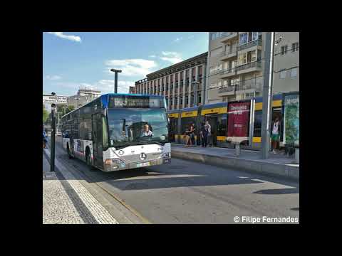 STCP 2162 (audio recording - archive)