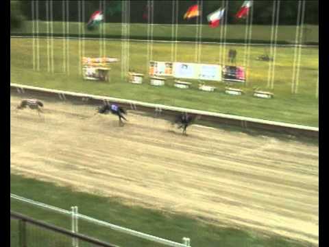 Federation Sprint Consolation - 2011