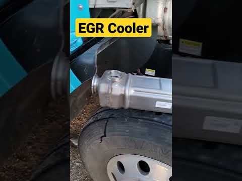 Trucking isn't cheap expensive parts like an EGR Cooler 🥵!!