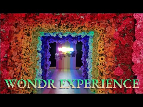 Wondr Experience Museum in Amsterdam