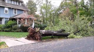 preview picture of video 'Damage from Hurricane Sandy: fallen trees in Glen Ridge, New Jersey'