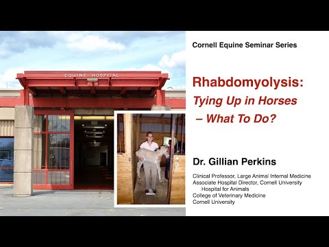 YouTube video about: What is tying up in horses?