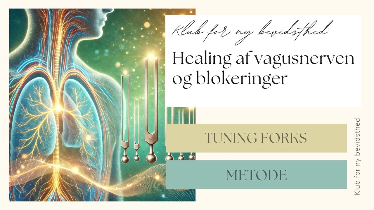 Healing af vagusnerven og blokeringer - frekvensterapi med tuning forks - Webinar 1