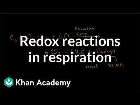 Introduction to Oxidation and Reduction in Cellular Respiration