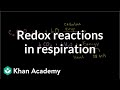Oxidation and reduction in cellular respiration | Biology | Khan Academy