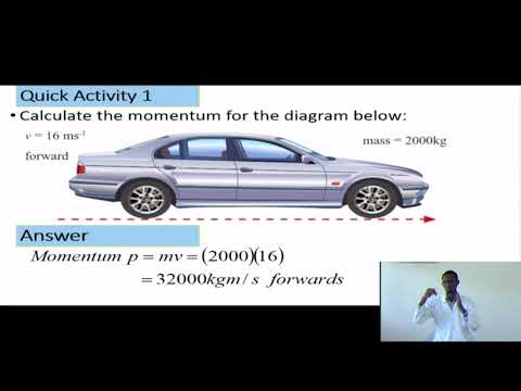 REB | S4 | Physics | Unit 4 | Lesson 6: Linear Momentum