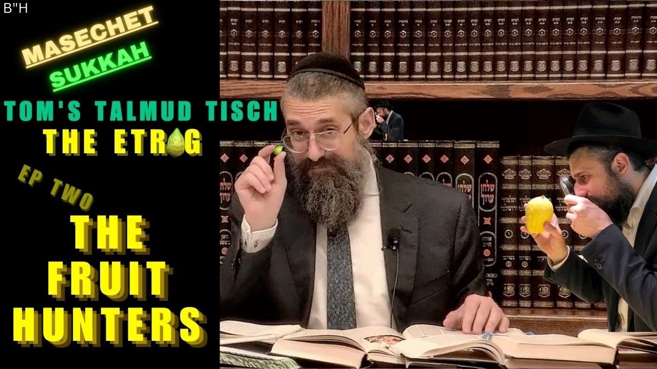 "The Fruit Hunters" ~ TOM’S TALMUD TISCH: The Etrog, Part Two. Masechet Sukkah, Chap. 3, Page 35a thumbnail