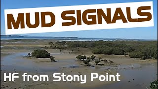 preview picture of video 'Mud Signals: QRP from Stony Point's mangroves'