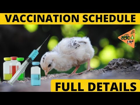 FULL VACCINATION SCHEDULE FOR CHICKEN