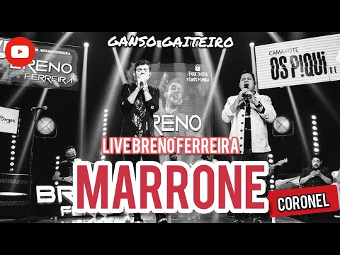 Breno Ferreira - Part. Marrone - Ainda ontem chorei de saudade (live) #sertanejoraiz #marrone