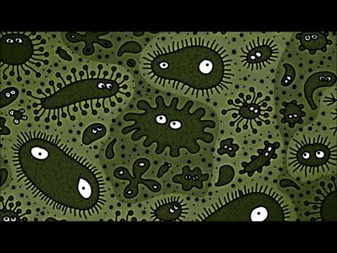 Hardcore Gabber | 205bpm | Rob Gee, AniMe, Billx, Toxic inside, Brainrape, Hardbouncer + More