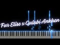 Fur Elise X Gulabi Ankhen Piano CookiemonMUSIC