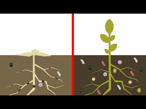 Best4Soil: Soil organic matter – Practical Information