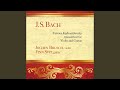 Italian Concerto, BWV 971: II. Andante