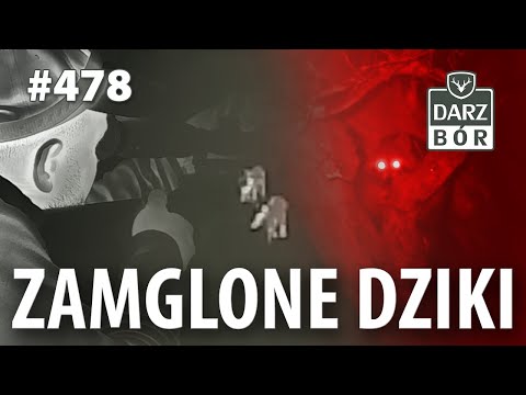 Darz Bór odc. 478 „Polowanie na dziki we mgle. Pard TA32- różne wersje …