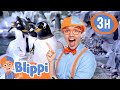 What Amazing Sea Creatures Will Blippi Find Blippi S Sea Search Educational Videos For Kids