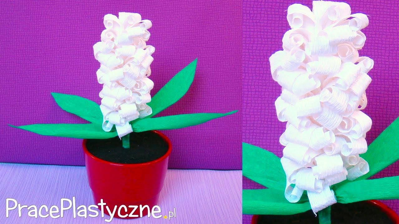 Jak zrobić hiacynta z krepiny?