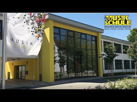 Die Streichinstrumente