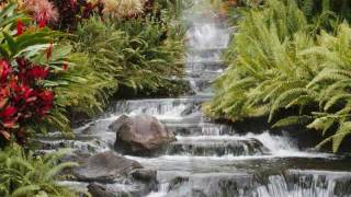 Ash Farizi - I Want You (Music Video Fanmade)