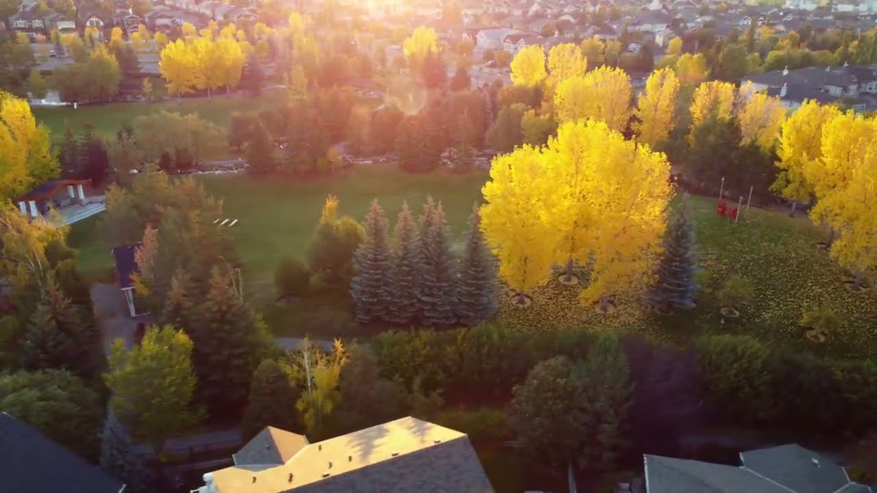 Fall in Love with Auburn Bay