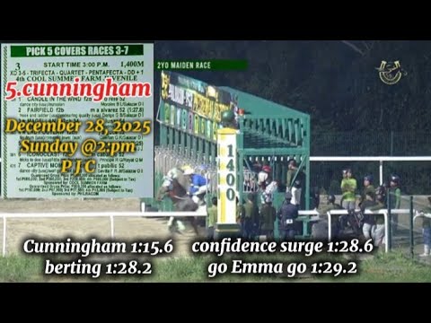 PJC ARNEL RACING TIPS SUNDAY @2:PM DECEMBER 28, 2025 @PhilippineJockeyClub PLS WATCH AND SUBSCRIBE 