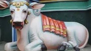 Download lagu Lagu Lokal  -  Tuhan Palsu mp3