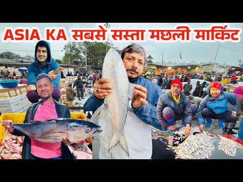 दिल्ली की सबसे बड़ी Fish Market 2025 | Biggest Wholesale Fish Market Delhi|ghazipur fish Mandi |RRRM