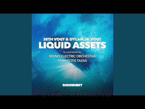 Liquid Assets (Panayiotis Tassis Remix)