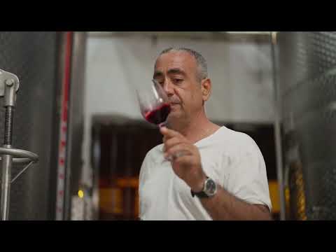 WineScan™ 3