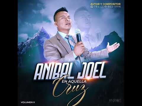 Anibal Joel- Remix