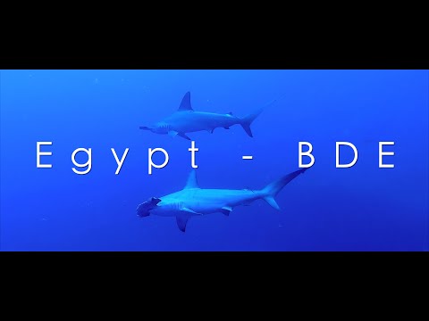 Egypt BDE | Brothers, Daedalus, Elphinstone | Dune Travel | Scuba Diving | Plongée en Egypte 4K