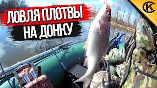 Ловля плотвы на донку с берега
