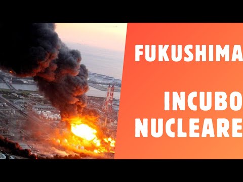 Fukushima Nuclear Disaster 2011