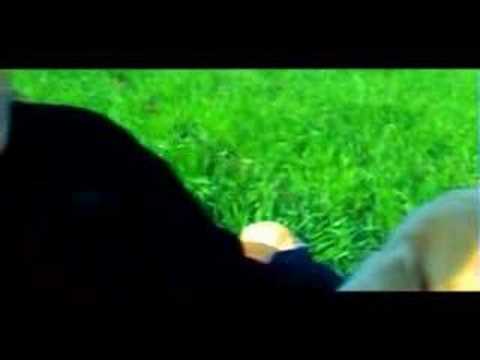 Zoran Rudan Ceki - "Slikovnica"