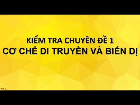 KIỂM TRA CHUYÊN ĐỀ 1 - CƠ CHẾ DI TRUYỀN VÀ BIẾN DỊ