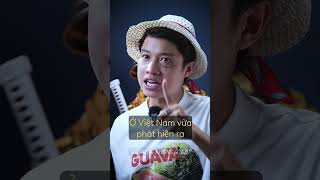 VUA HẢI TẶC VÀ KHO BÁU CỦA TRƯƠNG MỸ LAN | PHƯƠNG NAM - CỦ TỎI #phimcucngan @phuongnamofficial5285