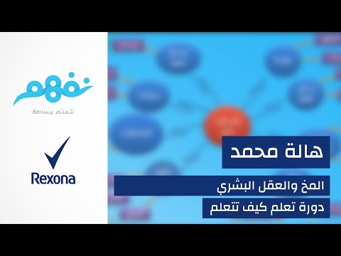 مسابقة تعلم كيف تتعلم: المخ البشري والتعلم | برعاية ريكسونا | موقع نفهم