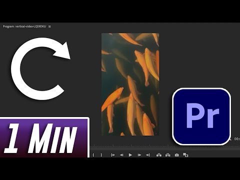 How to Edit Video for Beginners Tutorial Premiere Pro 2020