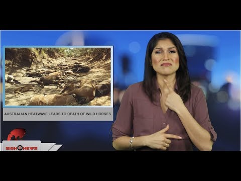Australian heatwave leads to death of wild horses (ASL - 1.25.19)