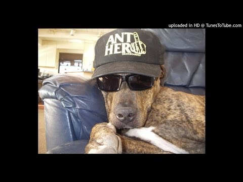 Gravediggaz-Constant Elevation