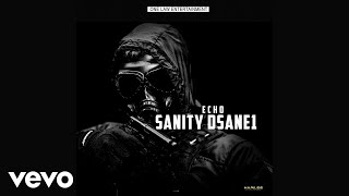 Sanity DSane1 - Echo (Official Audio)