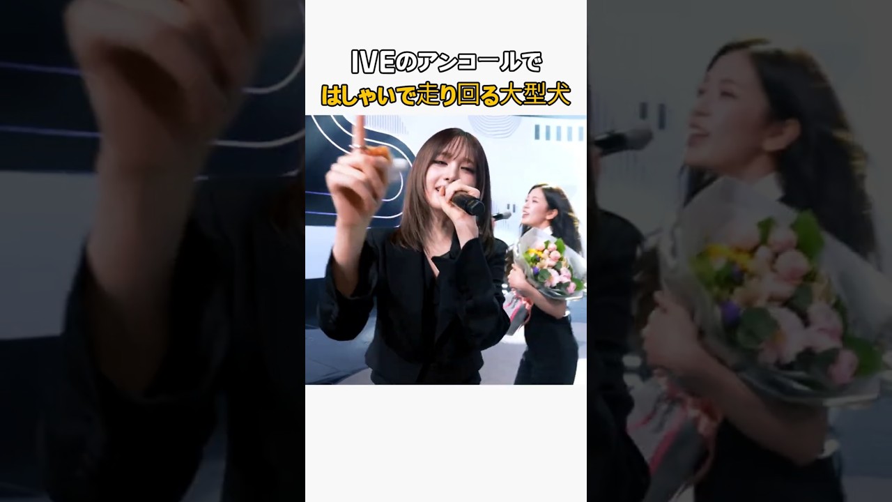 IVEのアンコールではしゃいで走り回る大型犬