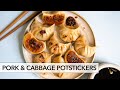 Perfect Pork Potstickers with Juicy Filling! (鍋貼, Pan-Fried Pork Dumplings)