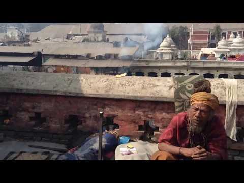 weed day( day of lord shiva)