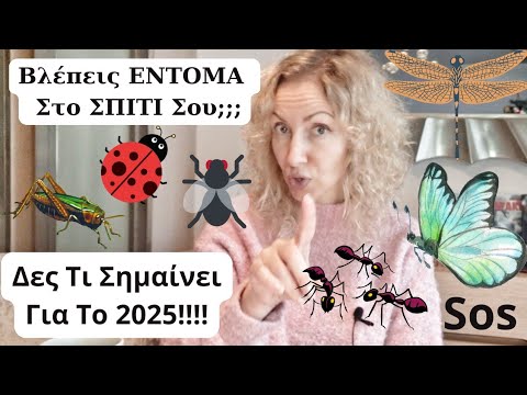 Βλέπεις Έντομα Σπίτι Σου;..Δες Τι Σημαίνει Για Το 2025