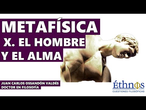 Metafísica Tomista 10 - El hombre y el Alma