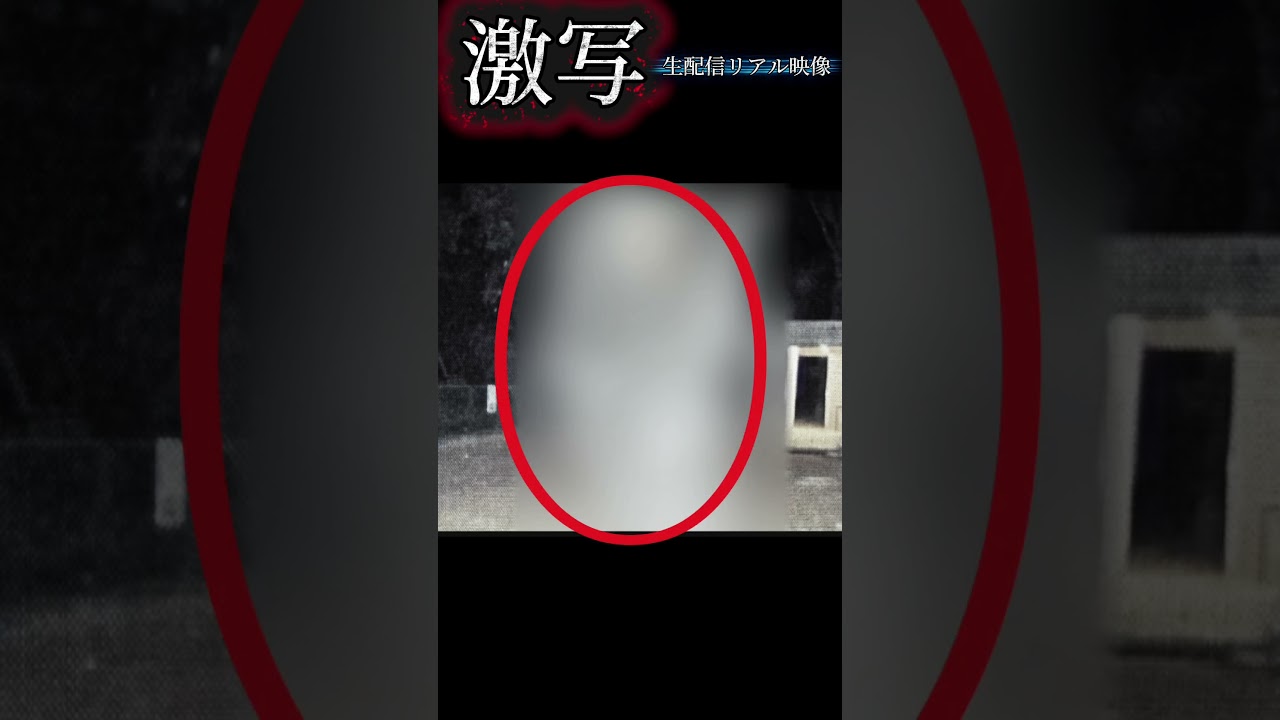 見えた！映った！見えた！映った！#shorts