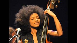 Land Of The Free  - Esperanza Spalding