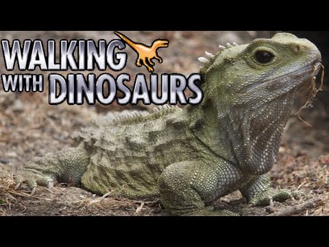 Walking with Dinosaurs [1999] - Tuatara Screen Time